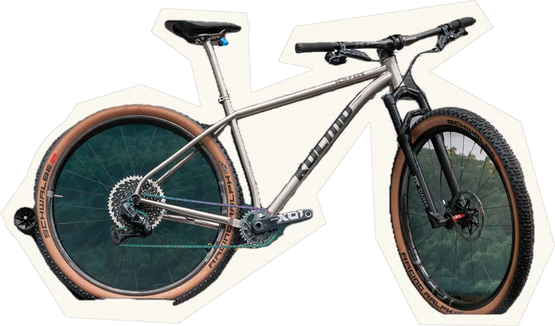 Titanium hardtail mountain bike